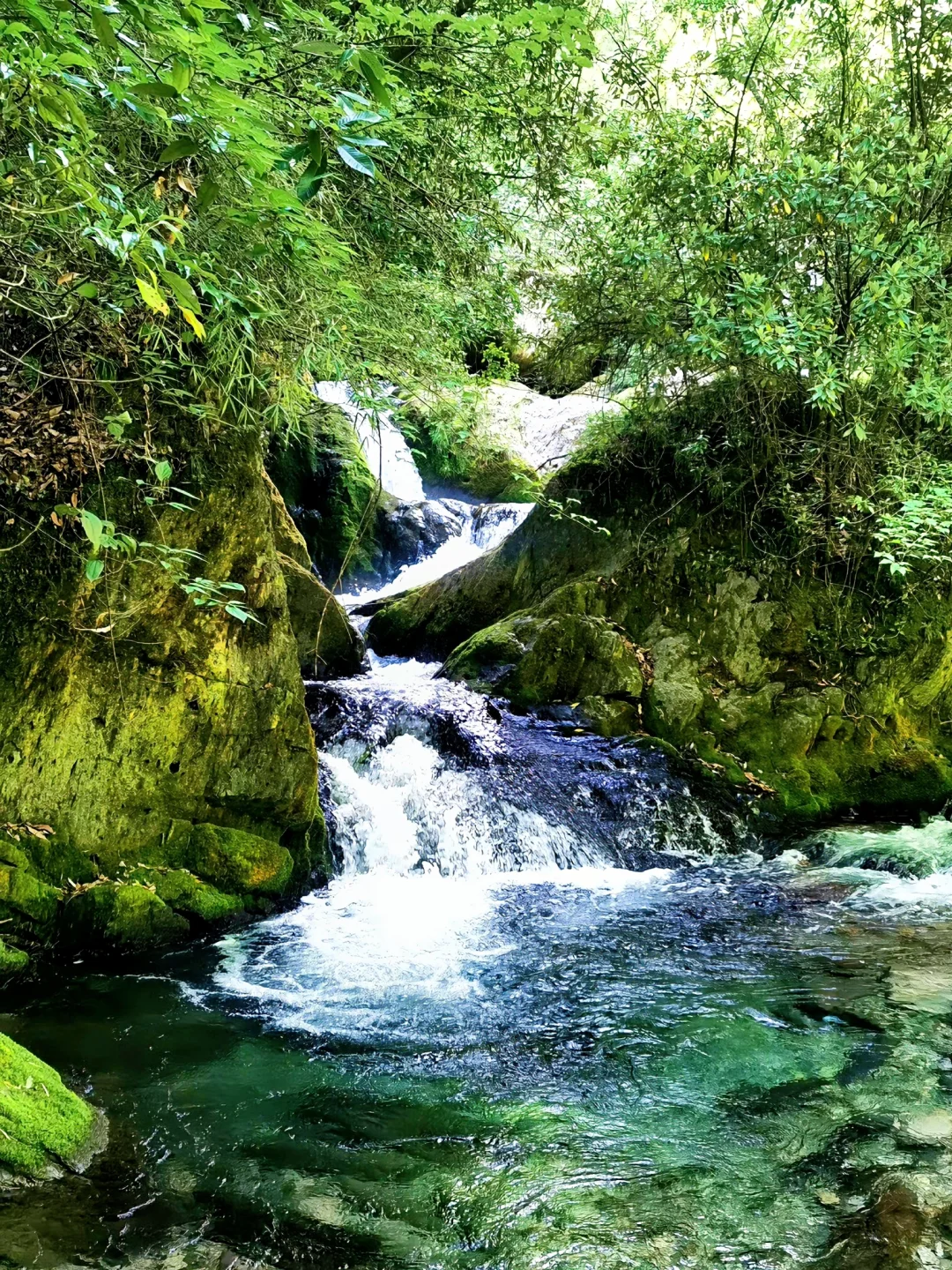 躲进18℃神农架💦小众无人的避暑秘境