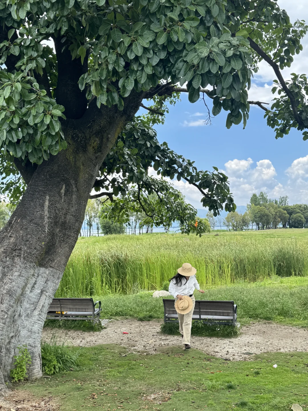 带娃去大理 不费妈的旅游攻略（一）🔥