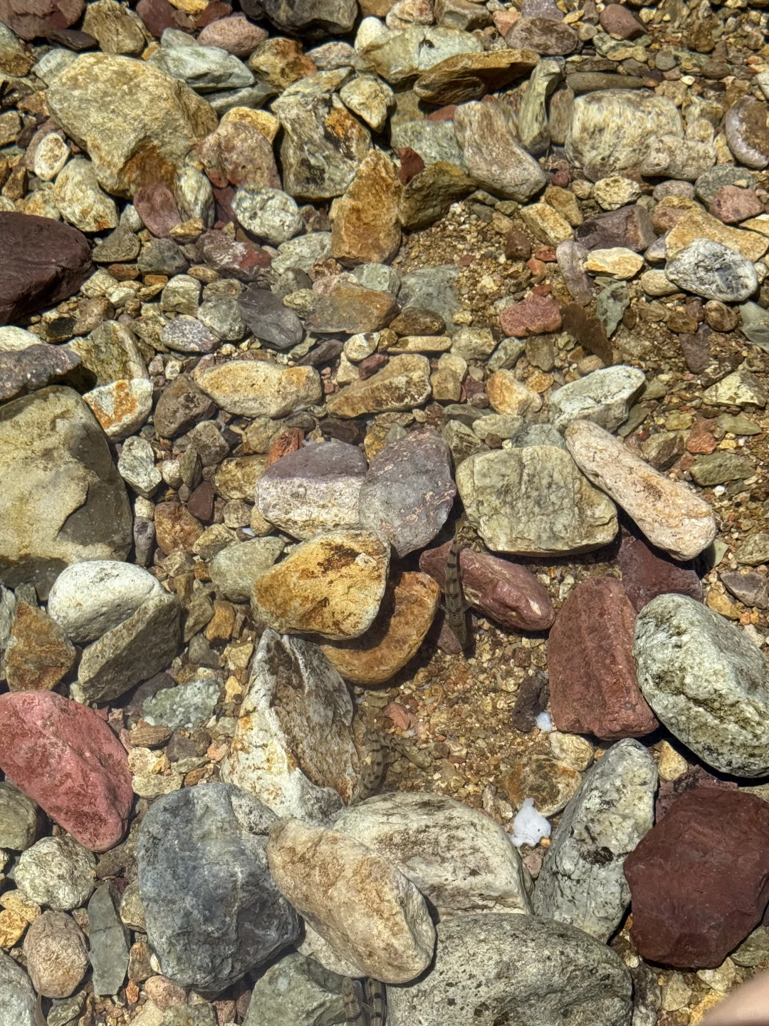这里免费！浙江人有自己的仙本那！