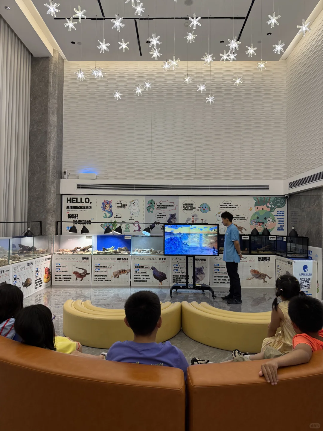 来天津极地海洋公园玩嗨了！