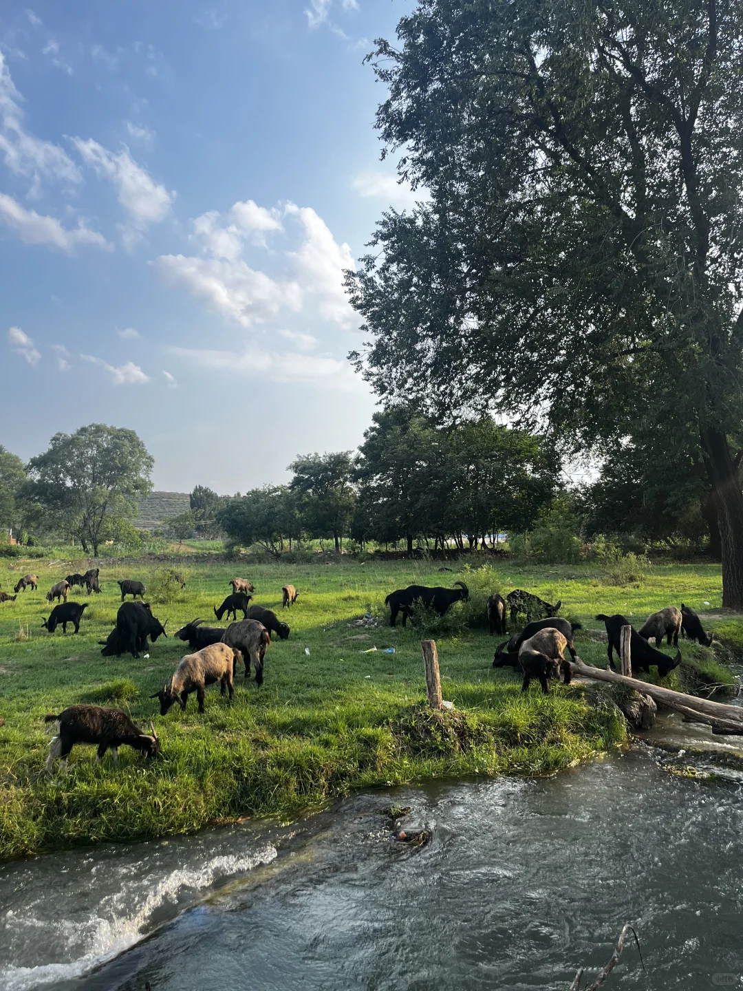 属于河北人自己的阿勒泰