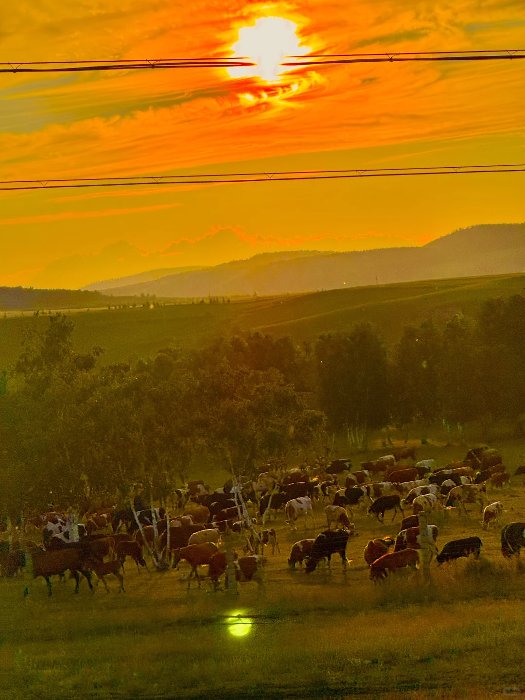 呼伦贝尔晚霞杀疯了！！！！！！！