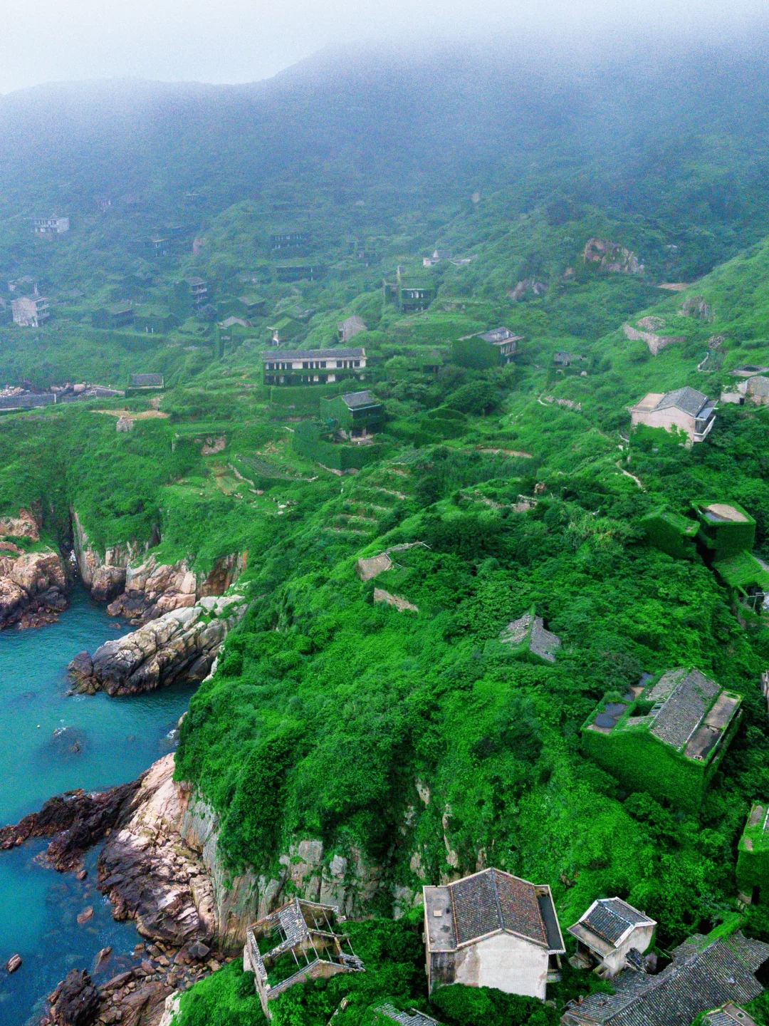 上海周边被《国家地理》推荐的宝藏海岛！真值！