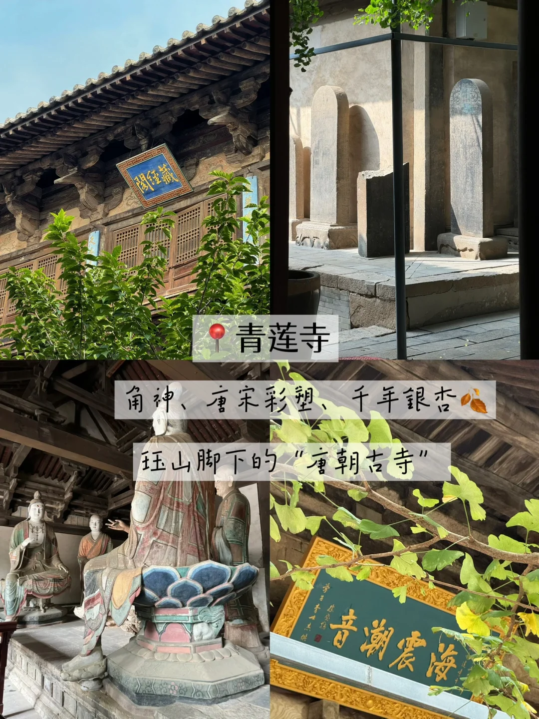 晋城免费好去处！本地人喜欢去这里！