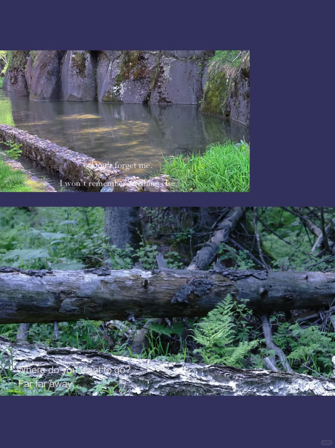 长白山景点合集！北景区必玩+小镇慢生活✨