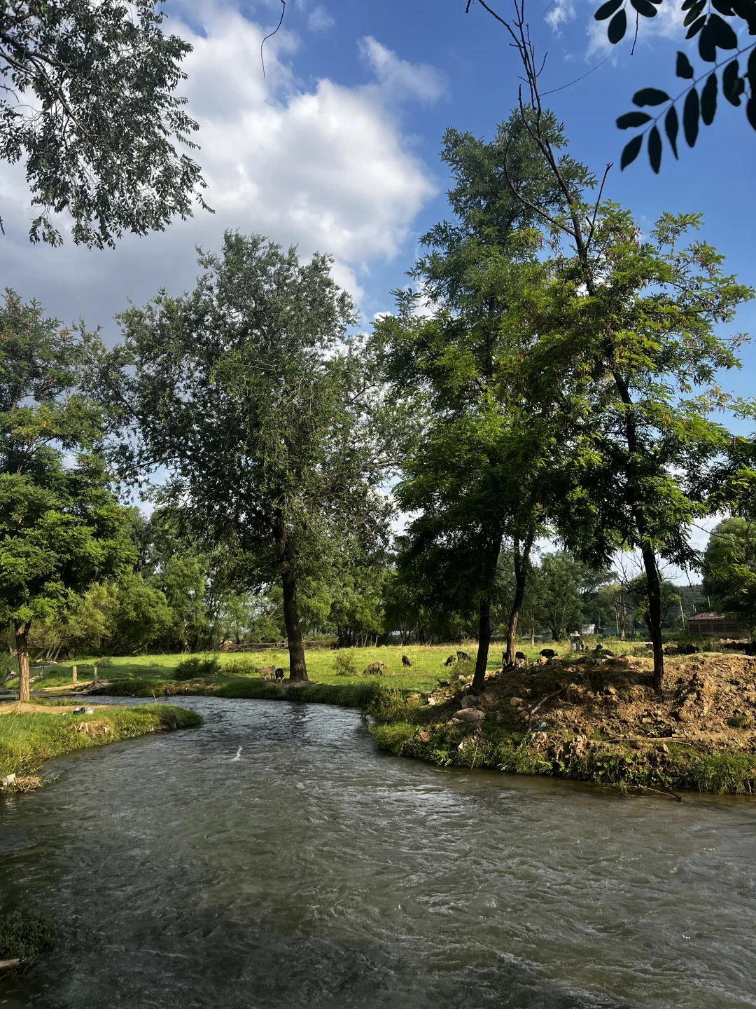 属于河北人自己的阿勒泰