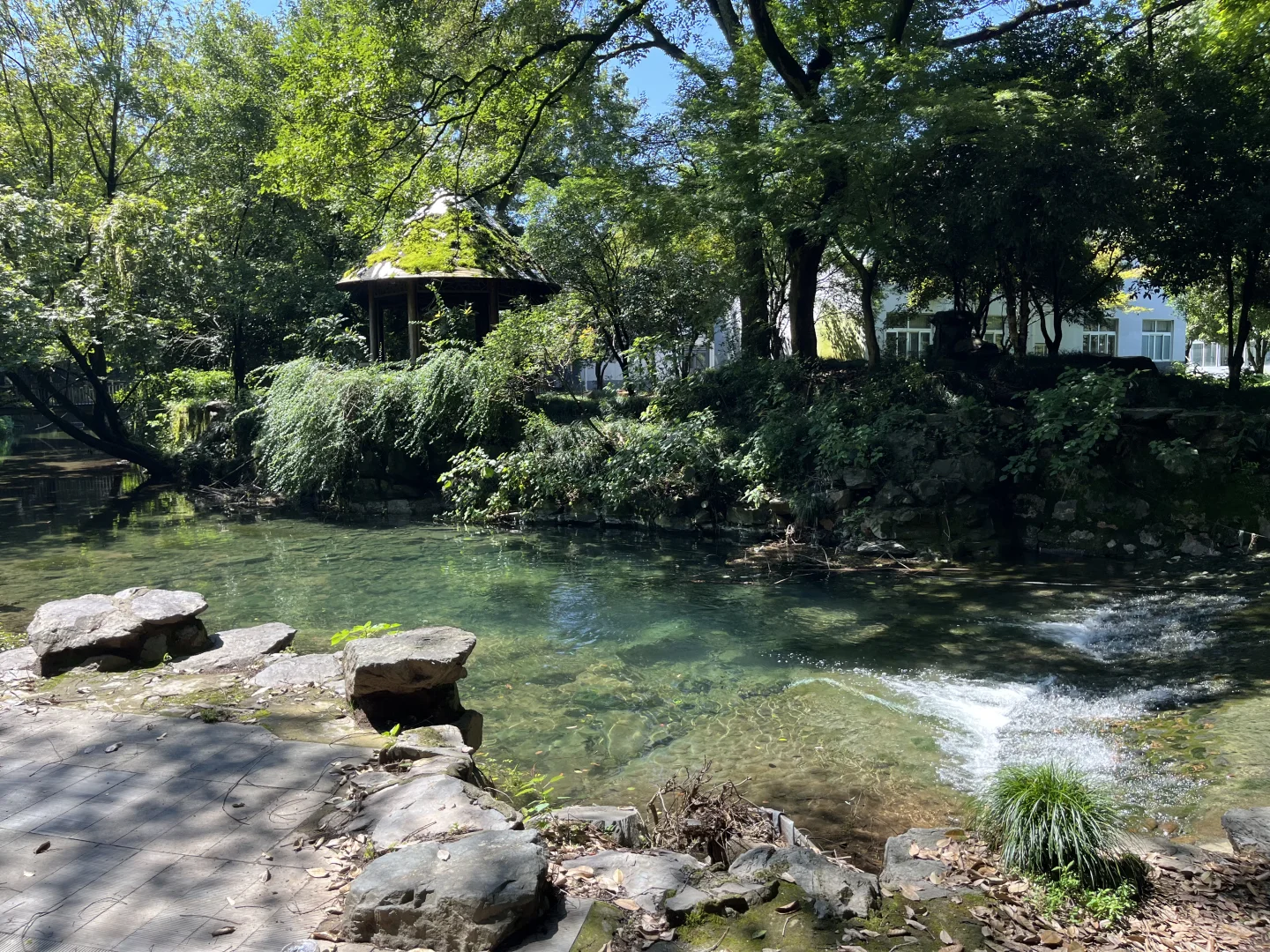 你敢相信？！这是西湖景区！水清人少玩水超棒