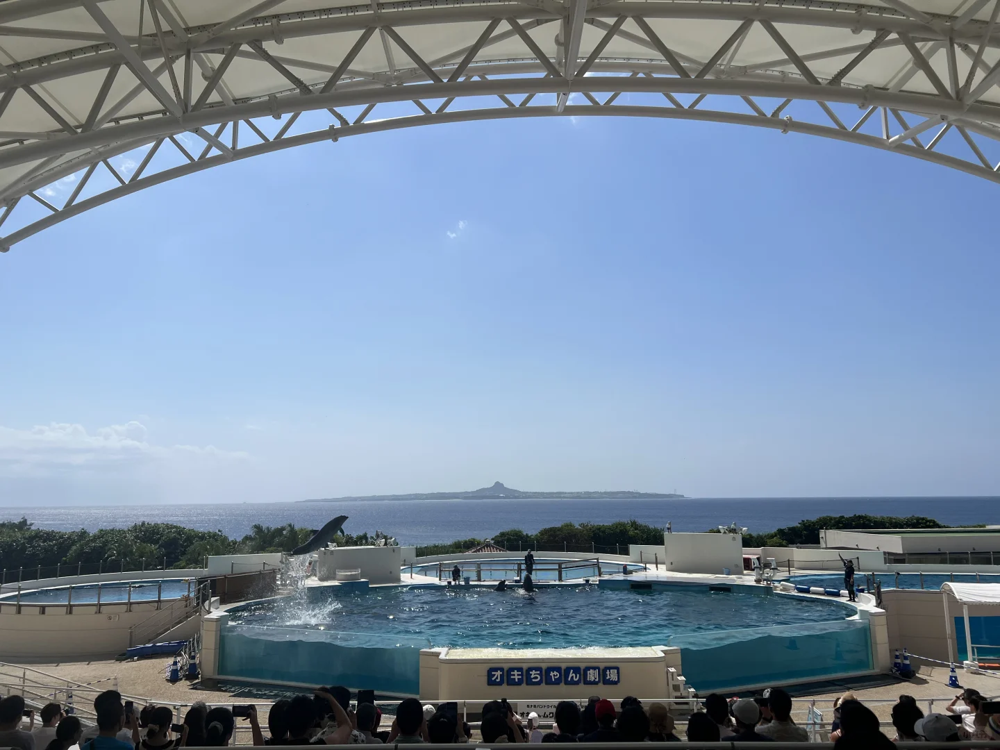 上海直飞一个小时40分钟的遛娃胜地