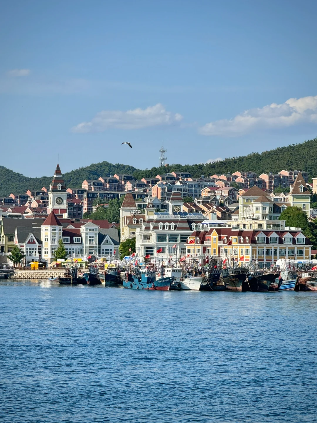 以为威海已经够美了，直到我去了大连……