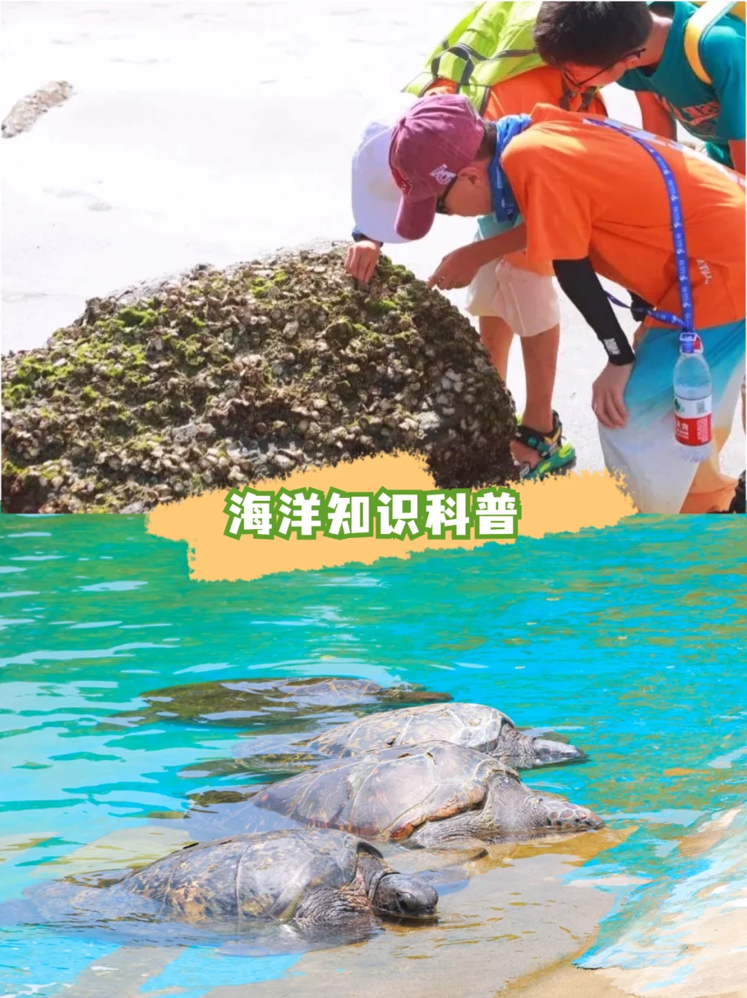 🌲暑假带娃去22°的海岛，真的比海南还震