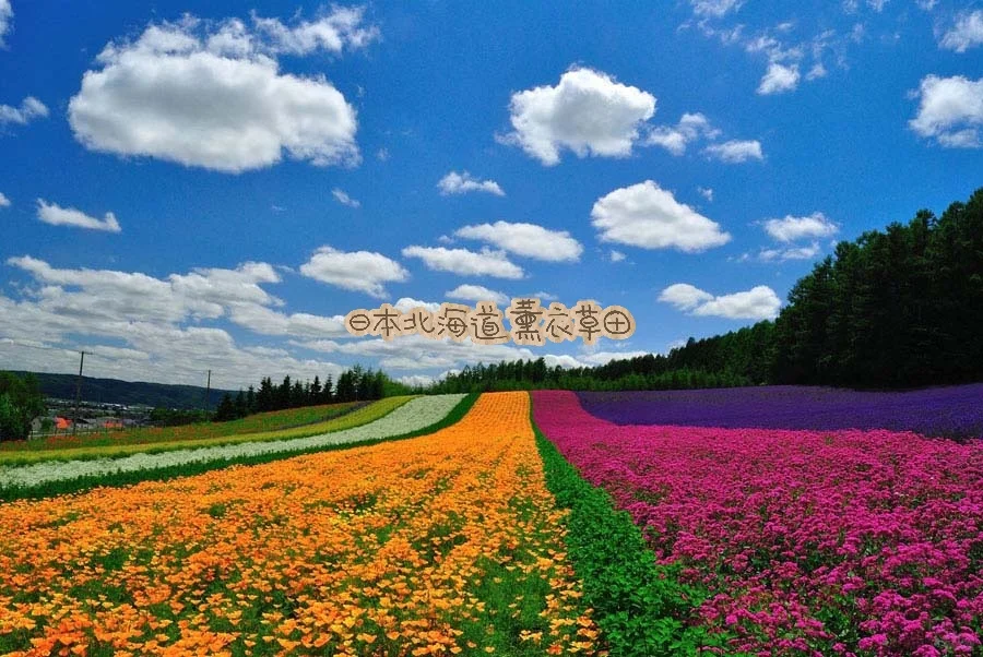 七月份避暑旅游城市推荐