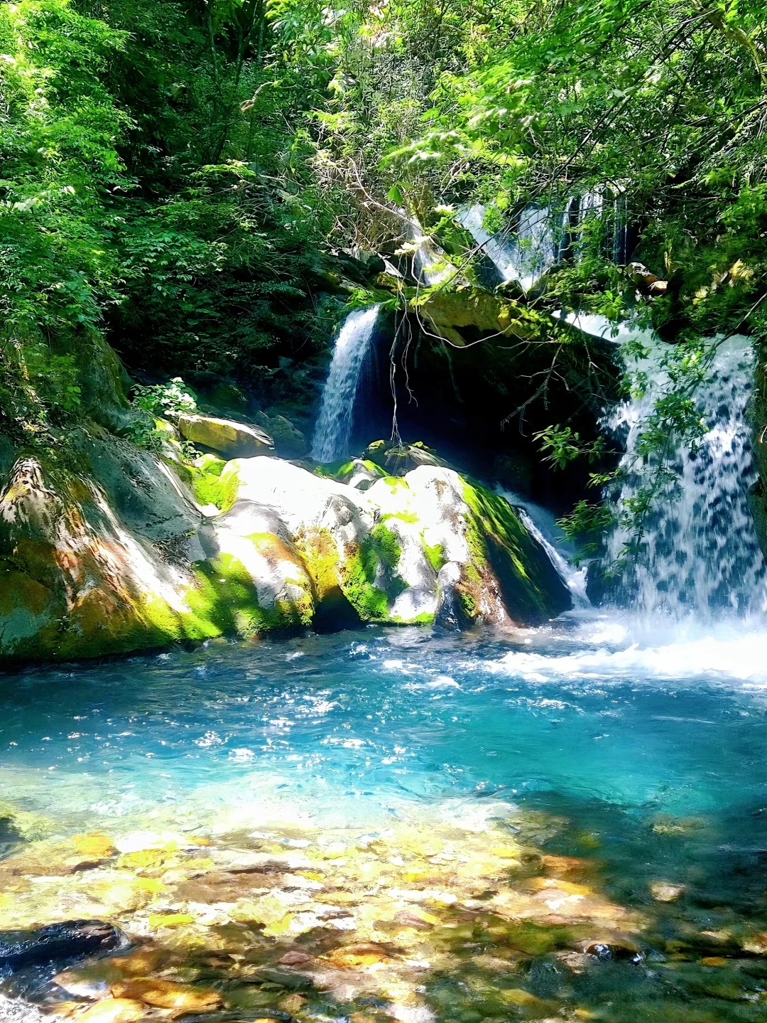 躲进18℃神农架💦小众无人的避暑秘境