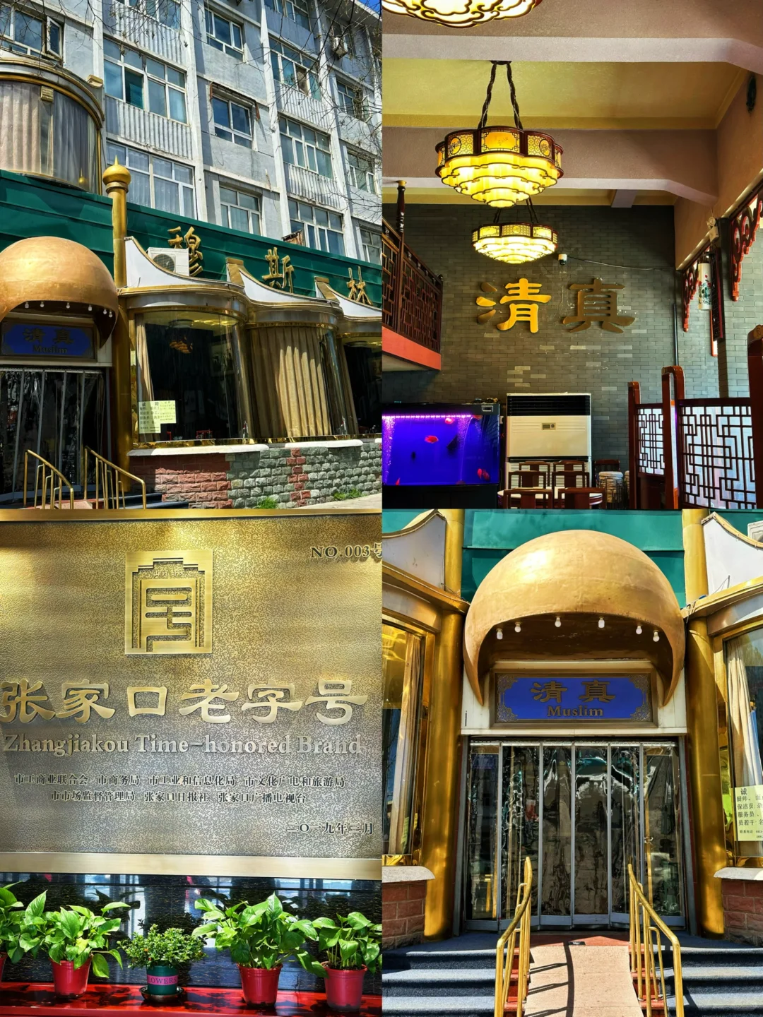 张家口市区一日游‼️人均200的小城旅行攻略