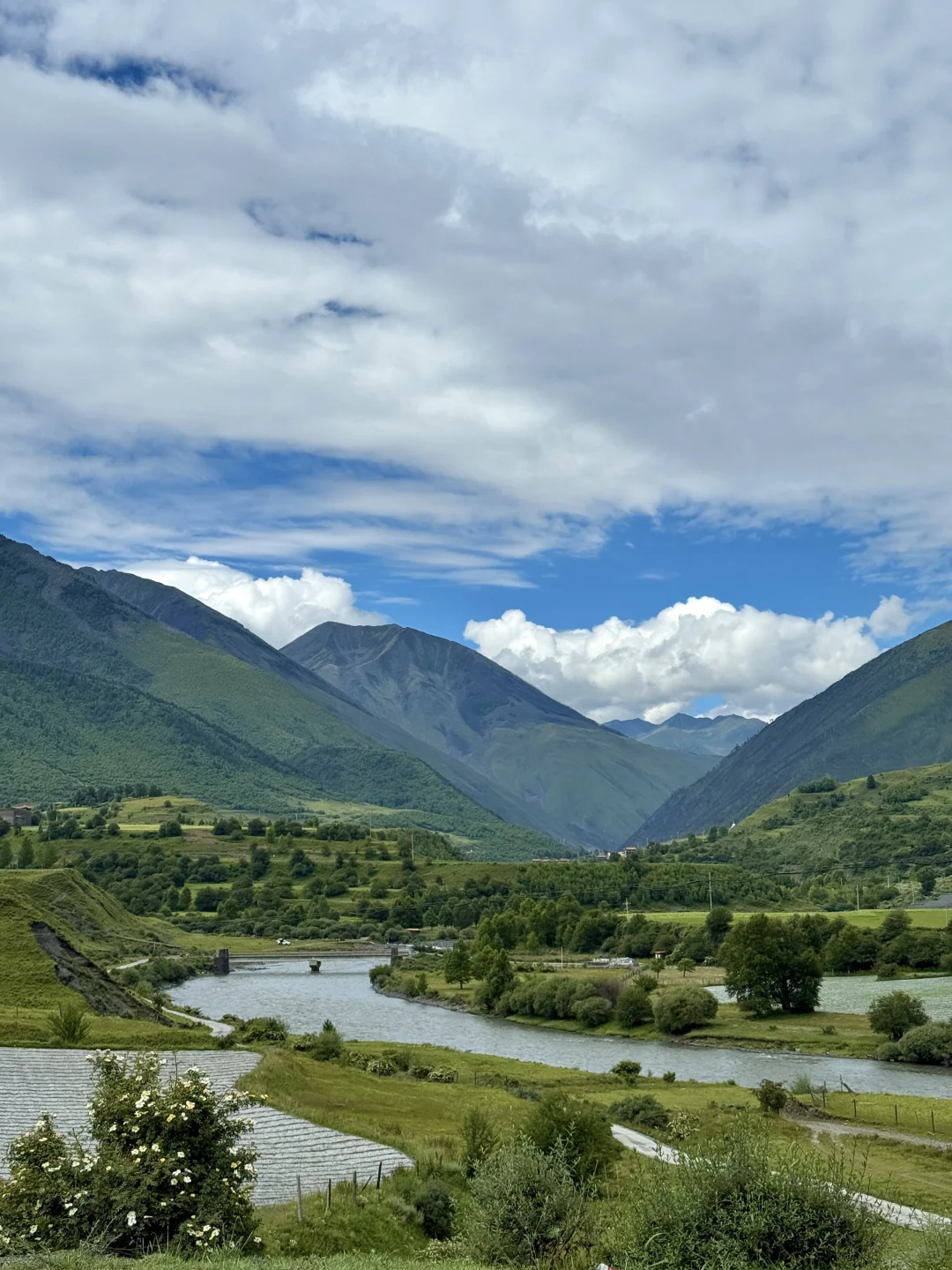 神级Live｜这就是川西夏天的含金量