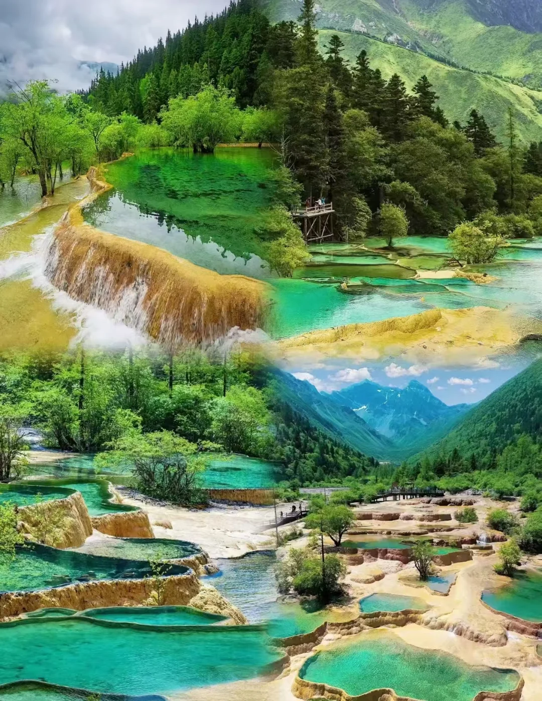 四川家庭游攻略：5 天 4 晚人均 1000+💖