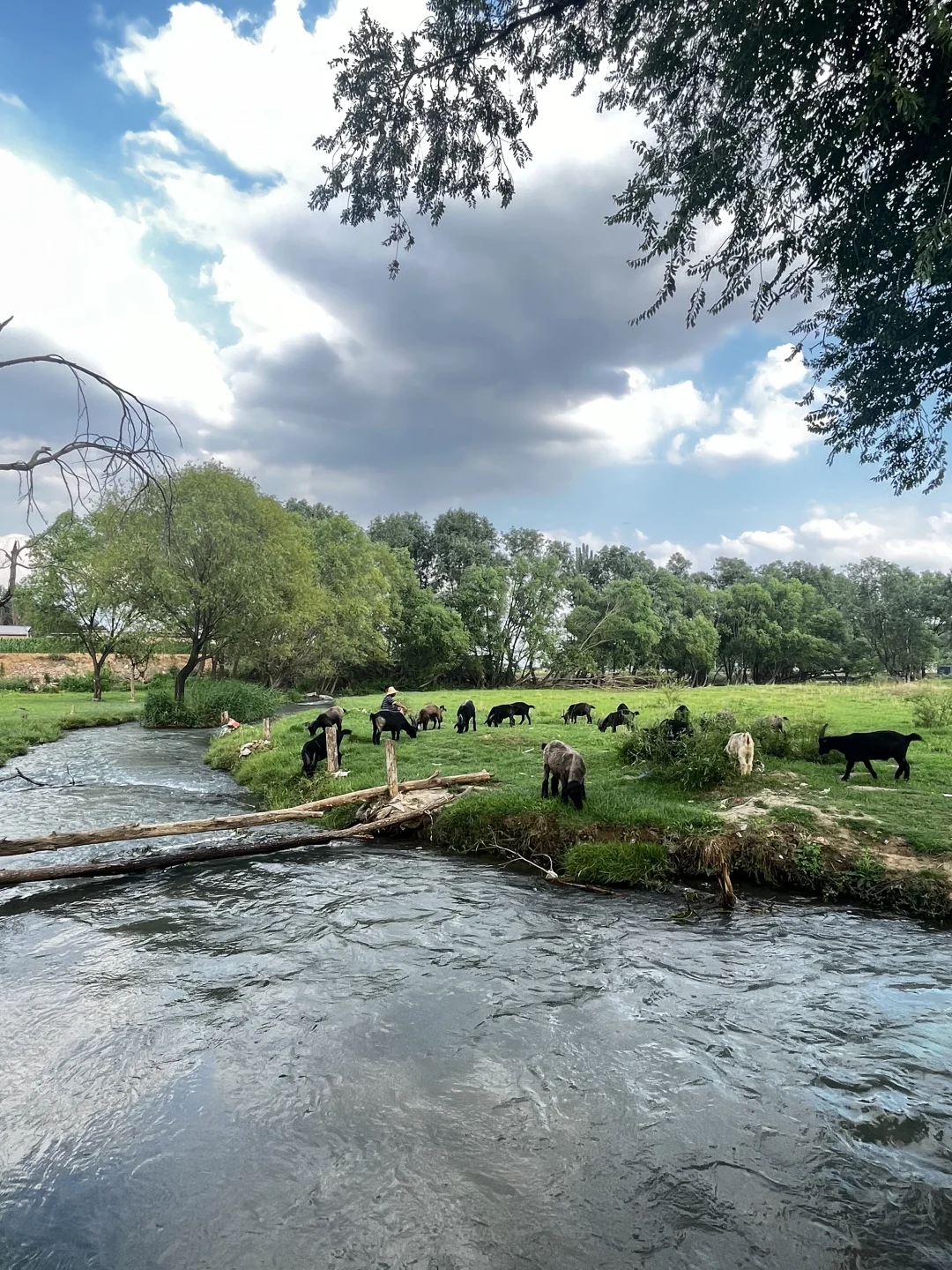 属于河北人自己的阿勒泰