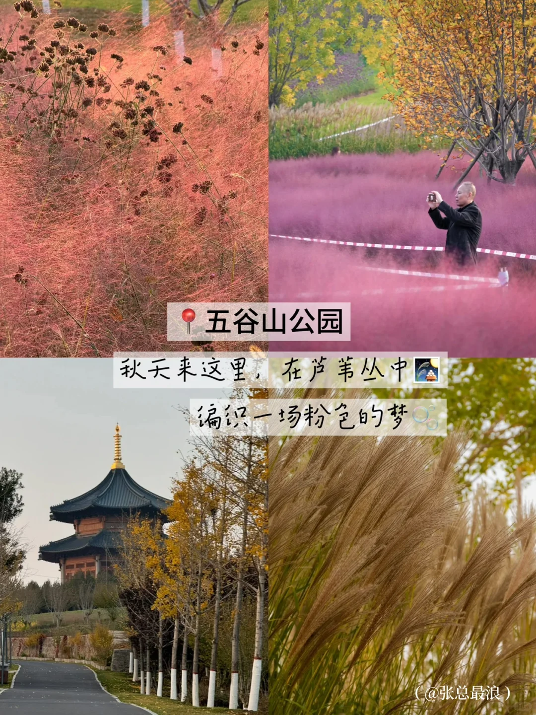 晋城免费好去处！本地人喜欢去这里！