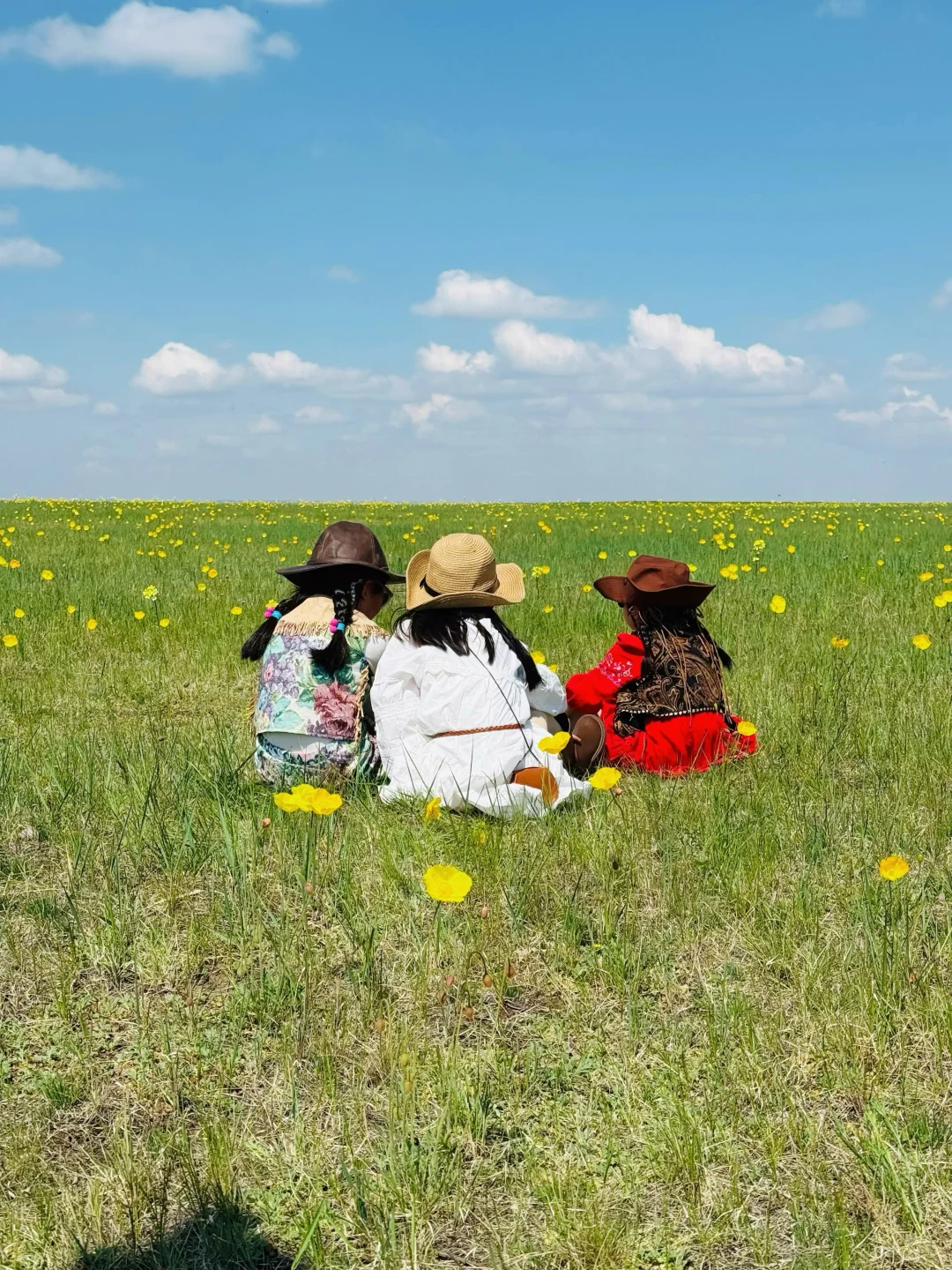 Live图|呼伦贝尔太适合带小胖友来玩了吧~