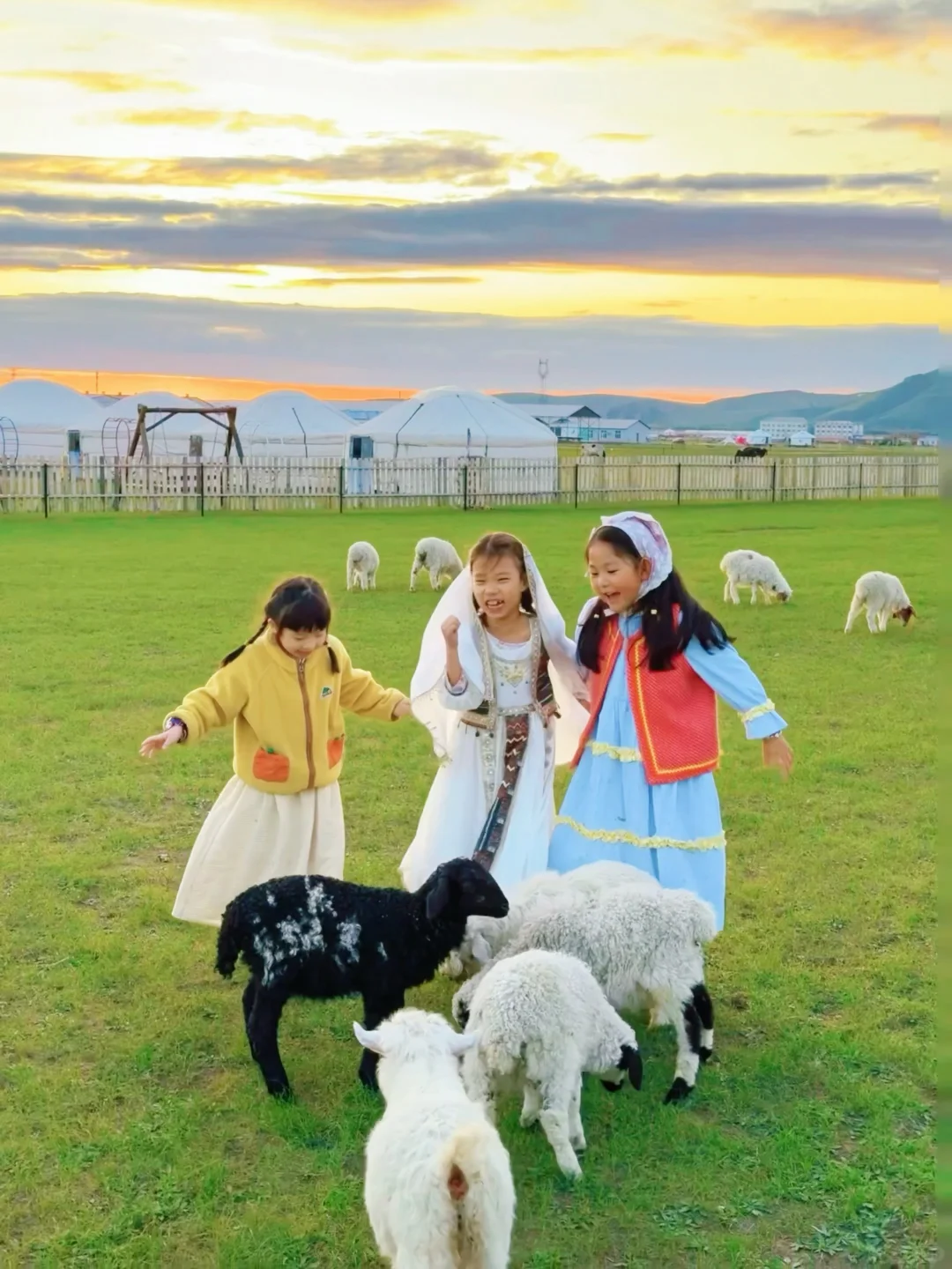 Live图|呼伦贝尔太适合带小胖友来玩了吧~