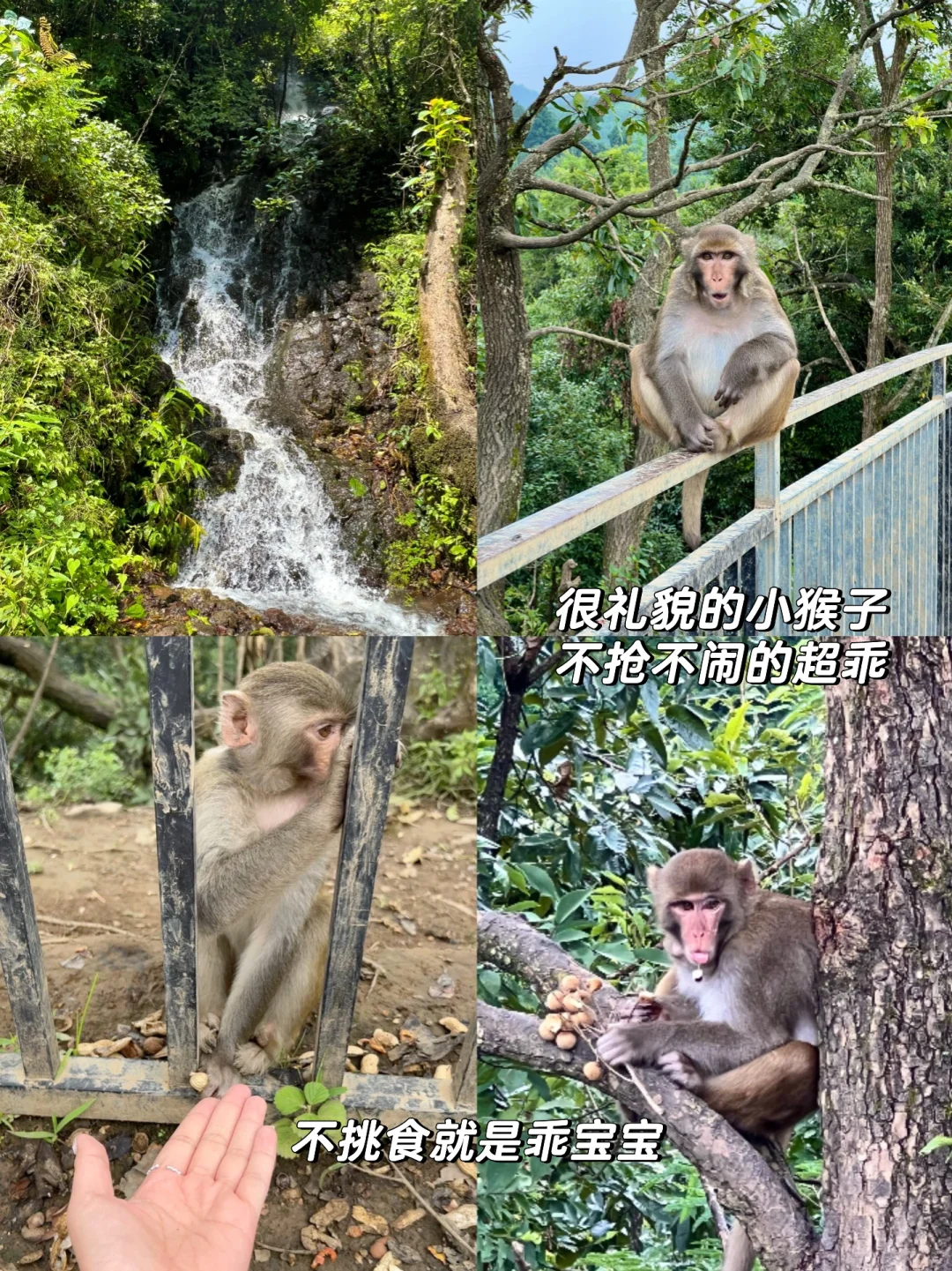 腾冲｜心灵和身体双重治愈的躺玩小城（附地图