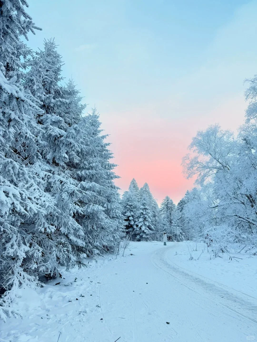长白山怎么玩，看这一篇就够啦