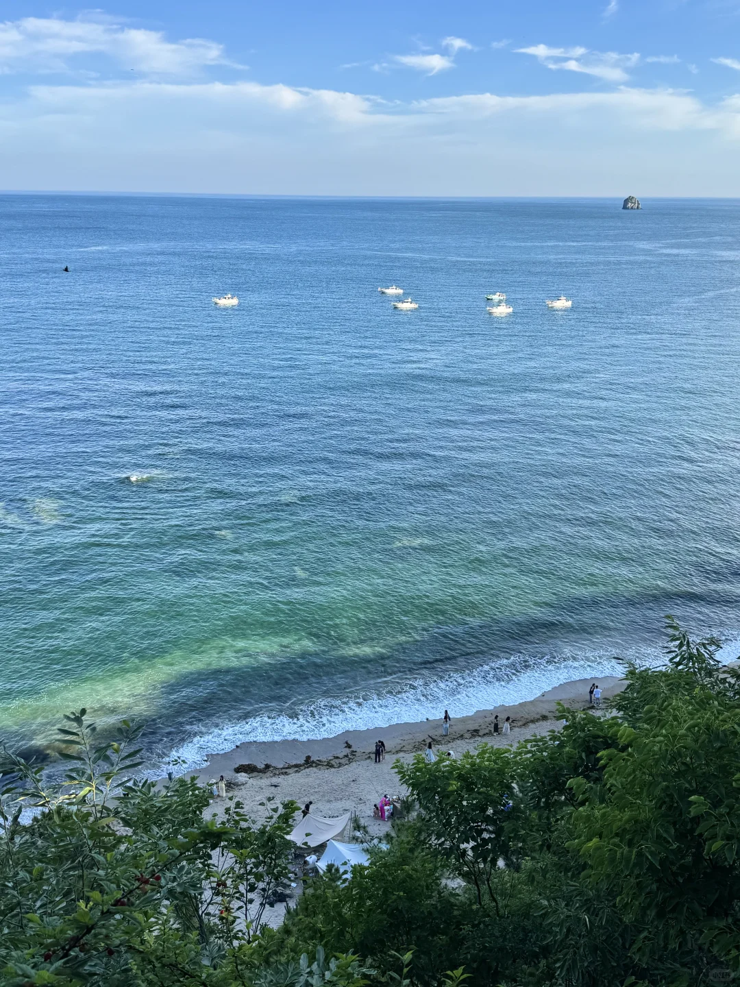 大连！！听劝没去星海，这条路线美翻了（附攻略