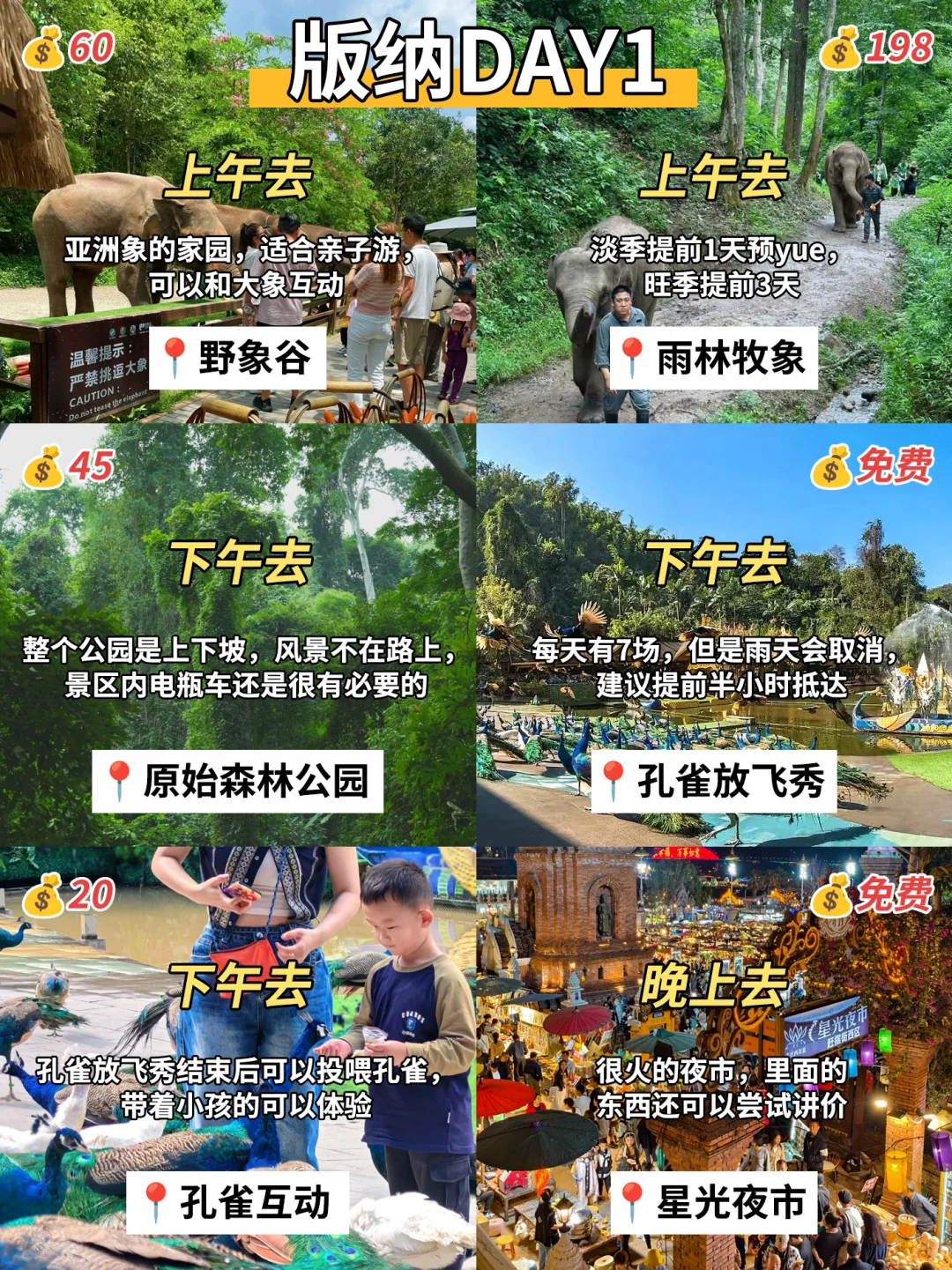 西双版纳怎么玩⁉️跟着这篇超全攻略准没错✅