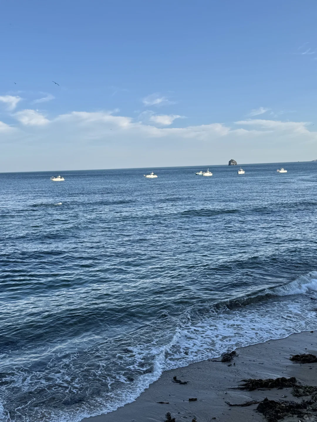 大连！！听劝没去星海，这条路线美翻了（附攻略