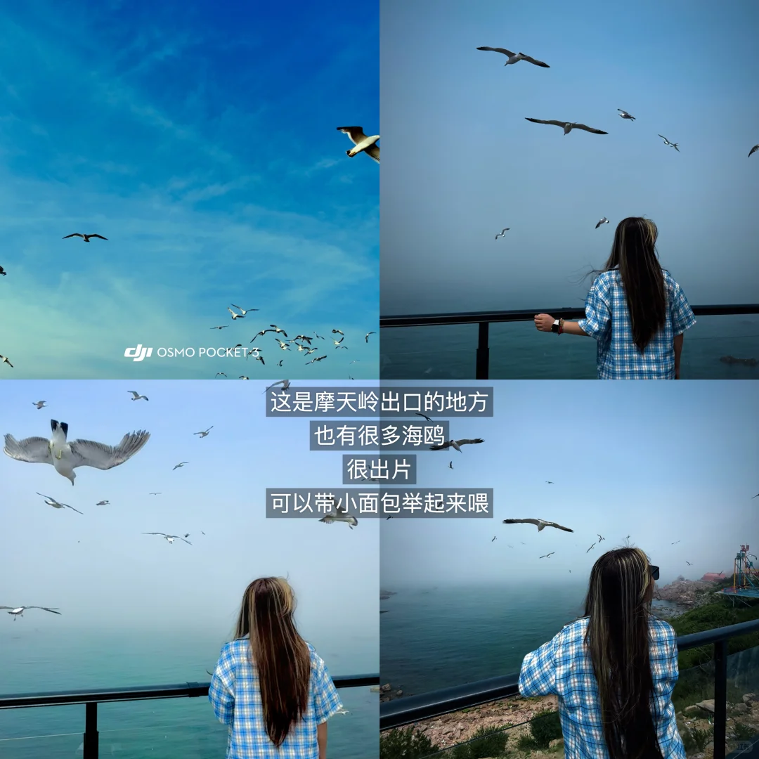 呕心沥血的威海攻略 都是实话 快来看