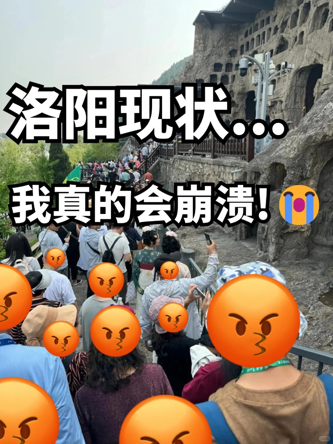 刚从洛阳回来！踩雷踩的已崩溃...🤬