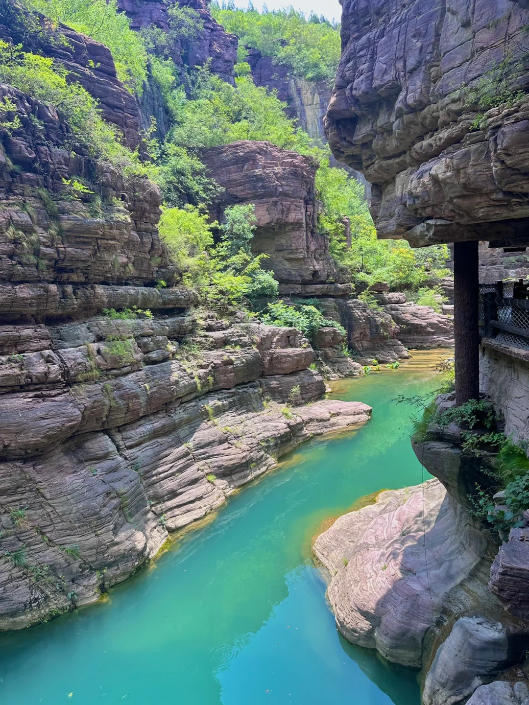 云台山已回😭坚决不删！能劝一个是一个……