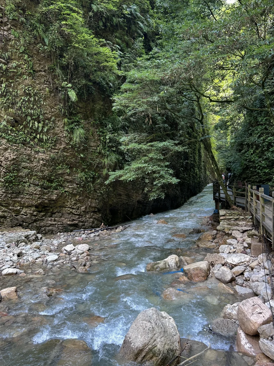 张家界大峡谷 | 美晕了