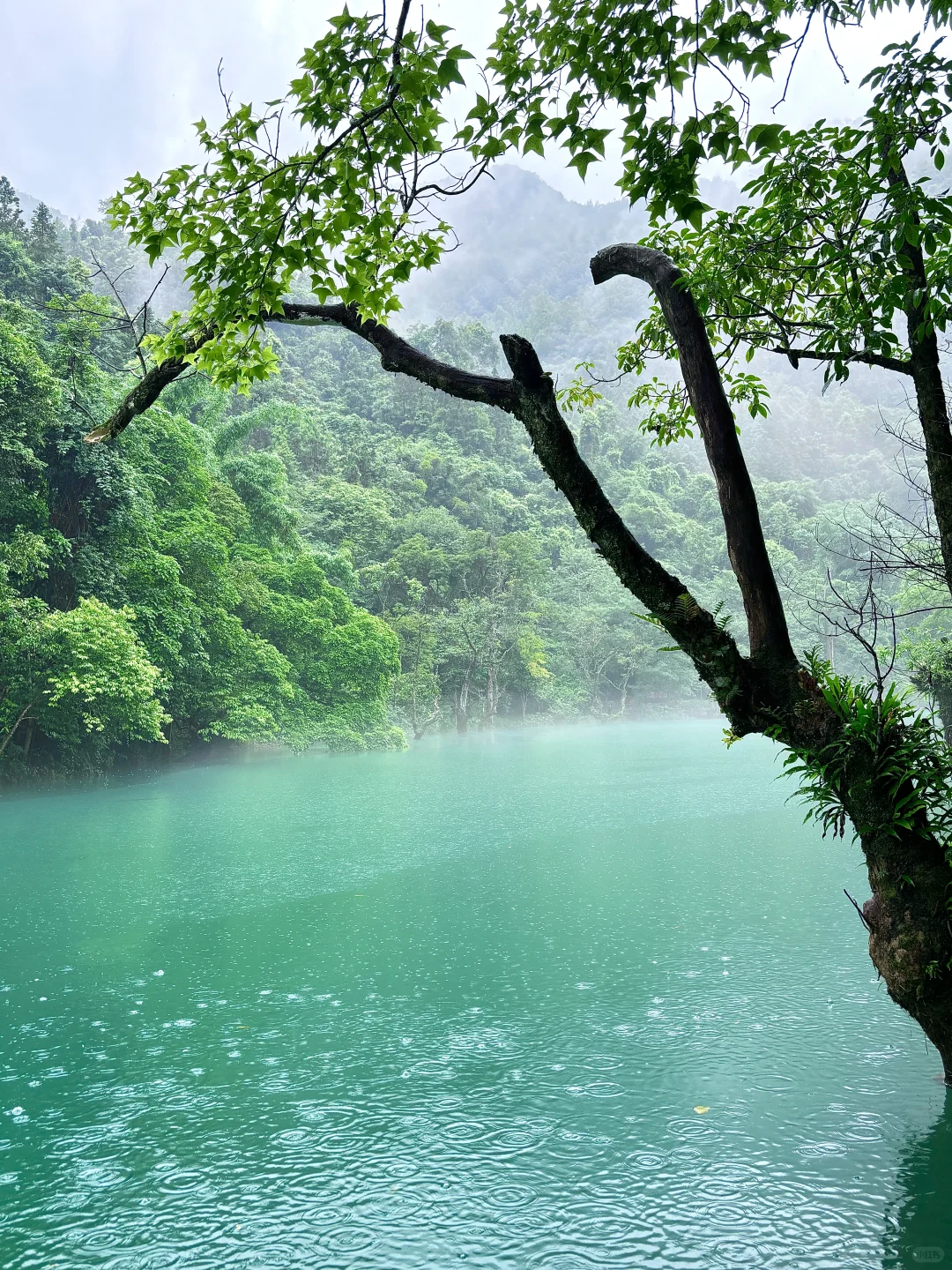📍荔波·小七孔｜黔南山水