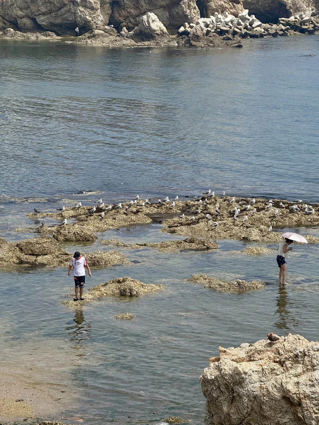 把小红书翻烂果然得到完全不踩雷的大连之行