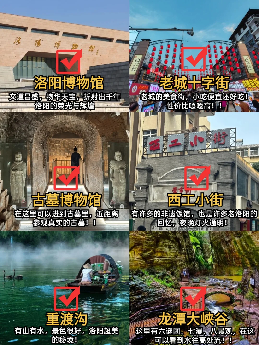 刚从洛阳回来！踩雷踩的已崩溃...🤬