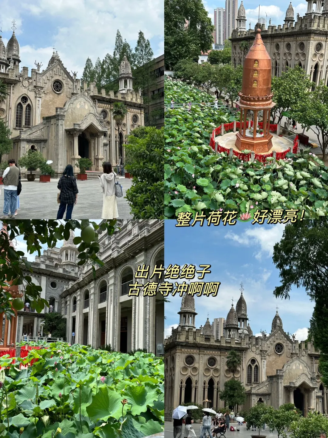 7.8武汉受难已回。。。。。四个人都崩溃了😭😭