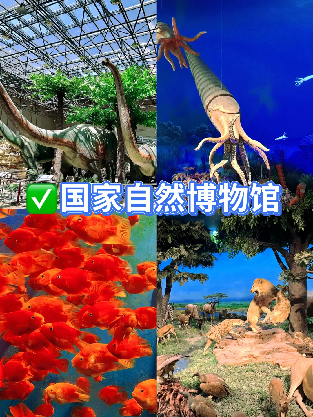 北京室内避暑攻略|7个宝藏巨出片的神仙地💦