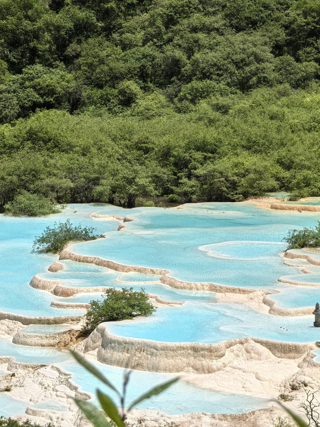 ⭐九寨沟黄龙两日游攻略