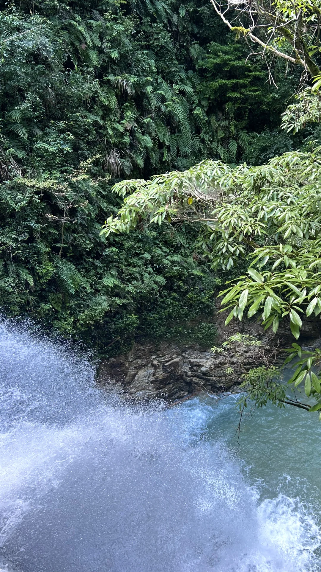 张家界大峡谷 | 美晕了
