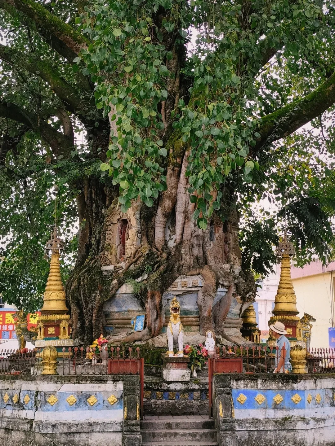 🎉芒市必游9大景点🎉看这篇攻略就对了