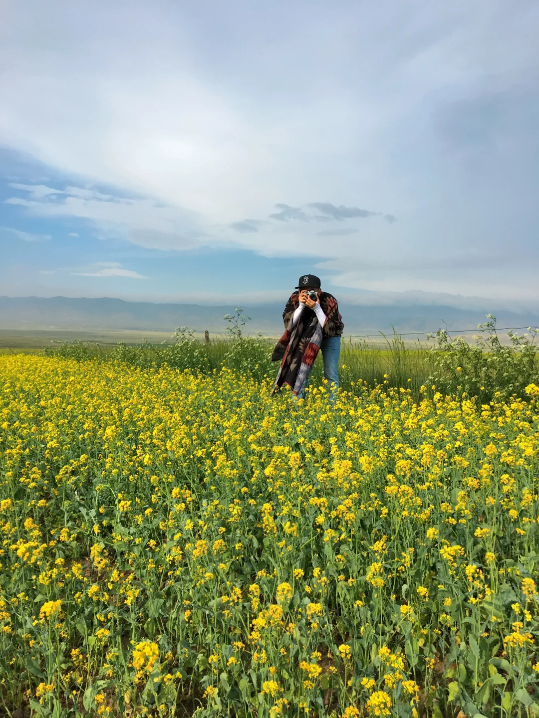 🚗青海甘肃8天自驾大环线| 门源百里油菜花