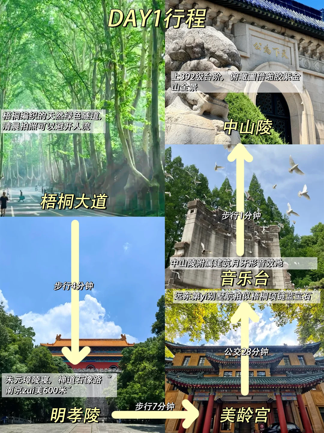 7.9南京已回😭真心建议