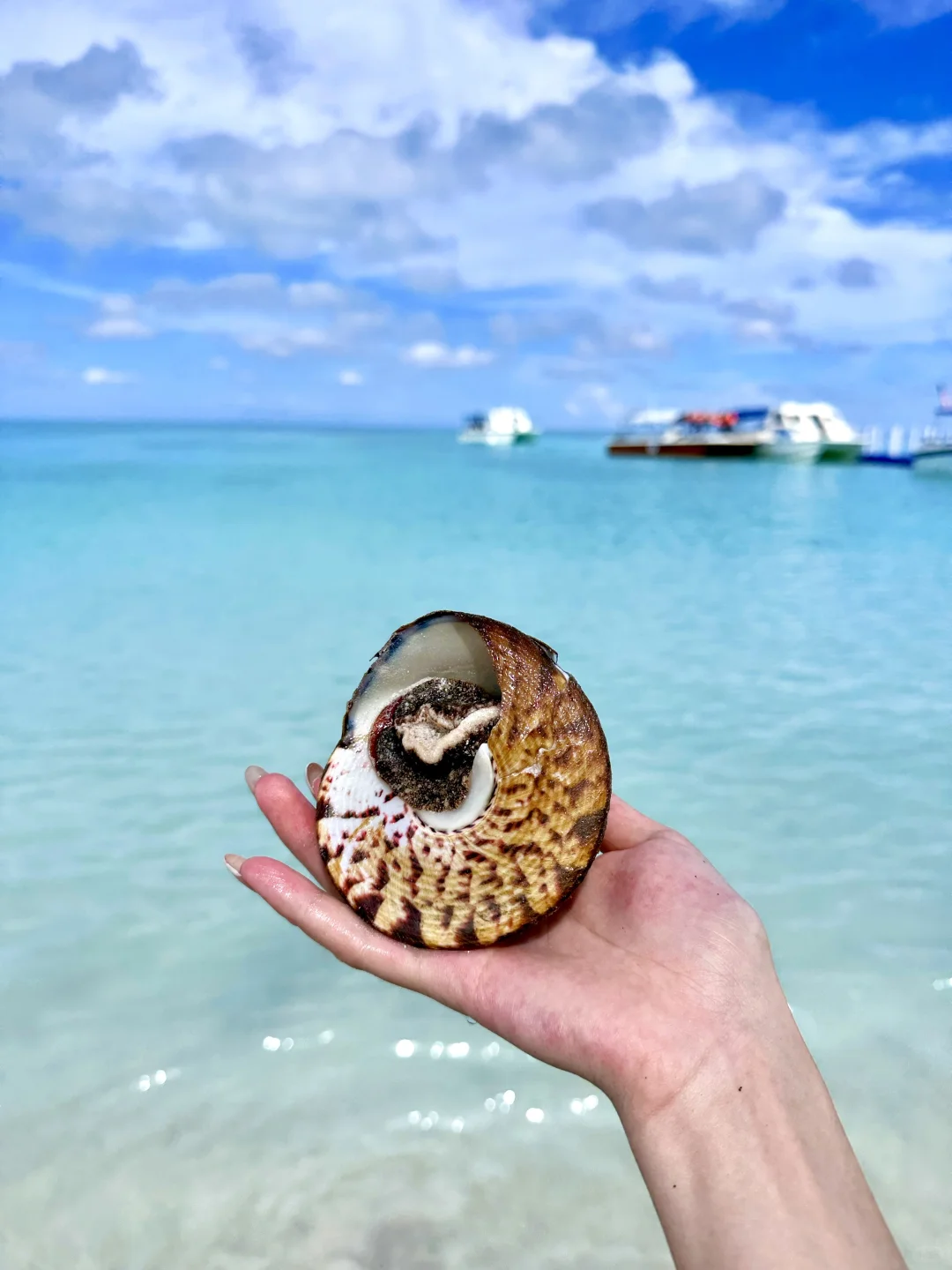 亚庇四天三夜 📕最良心攻略看这篇！！！！