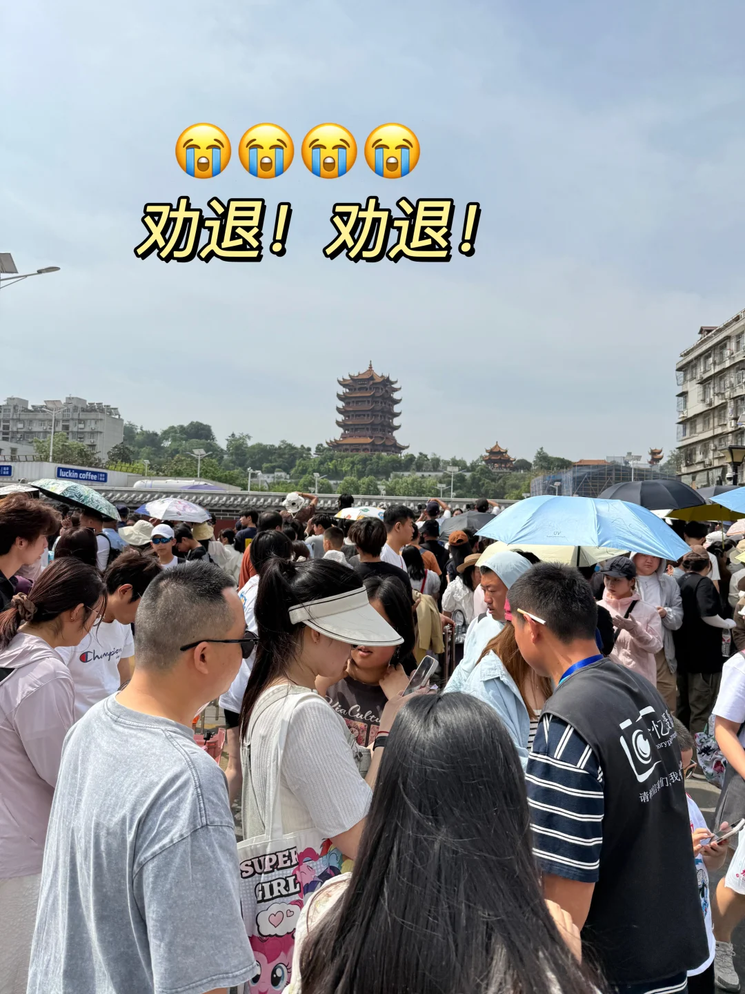 7.8武汉受难已回。。。。。四个人都崩溃了😭😭