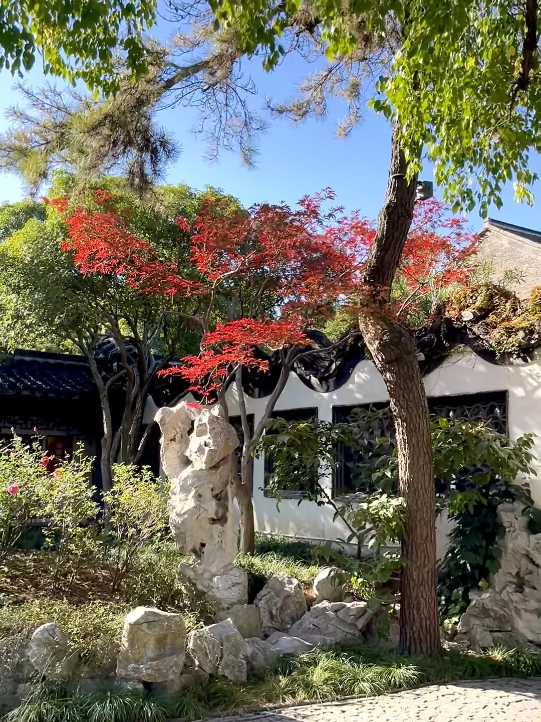 扬州已回！！6~7月份真的不建议去（因为实在是