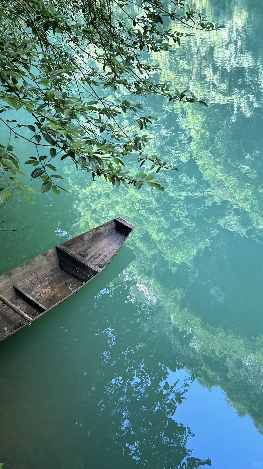 张家界大峡谷 | 美晕了