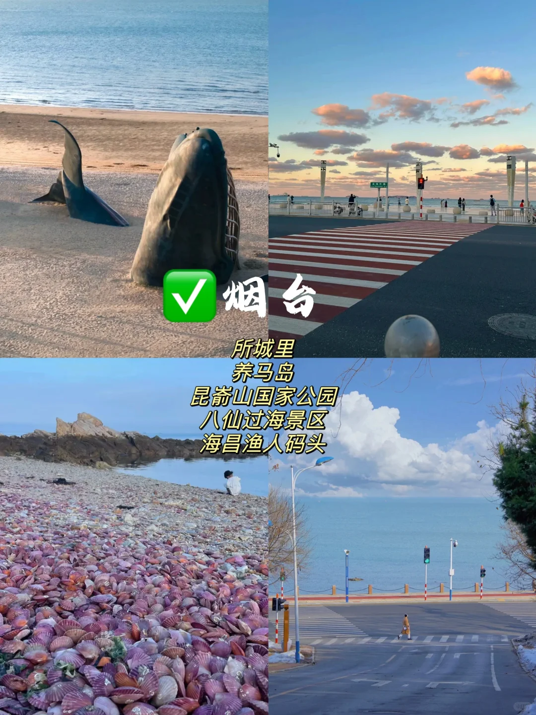 山东省16大城市🏙️景点排名前5️⃣！暑假反向