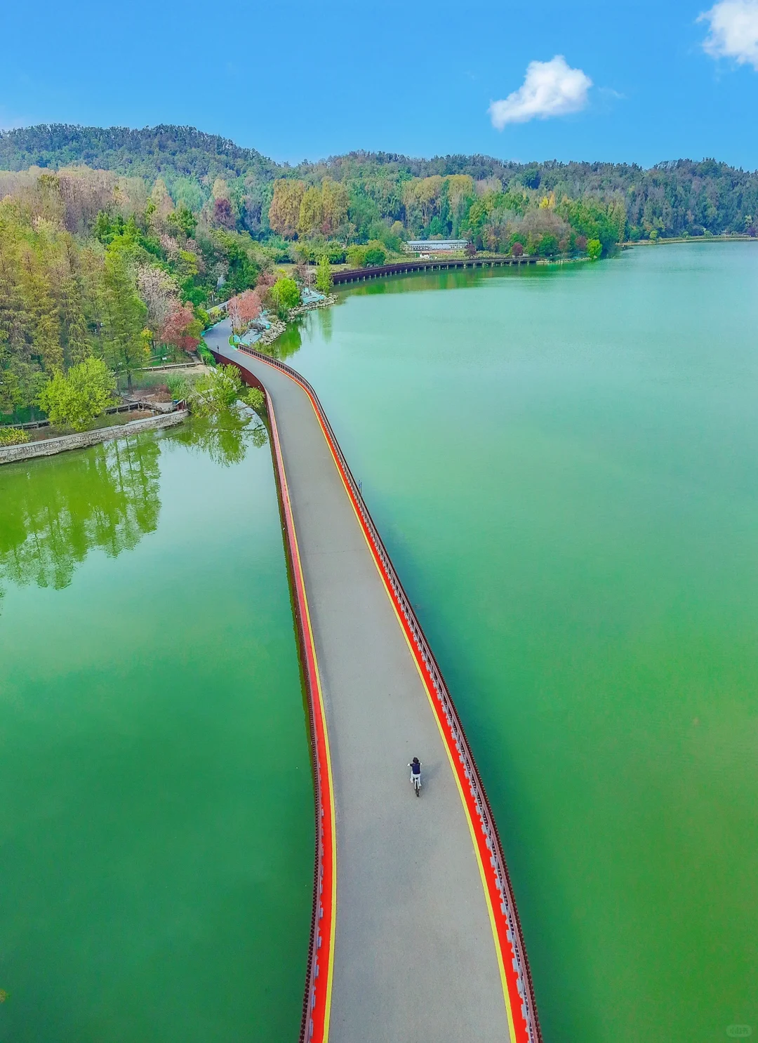 武汉东湖被严重低估的游玩路线！巨美人少！