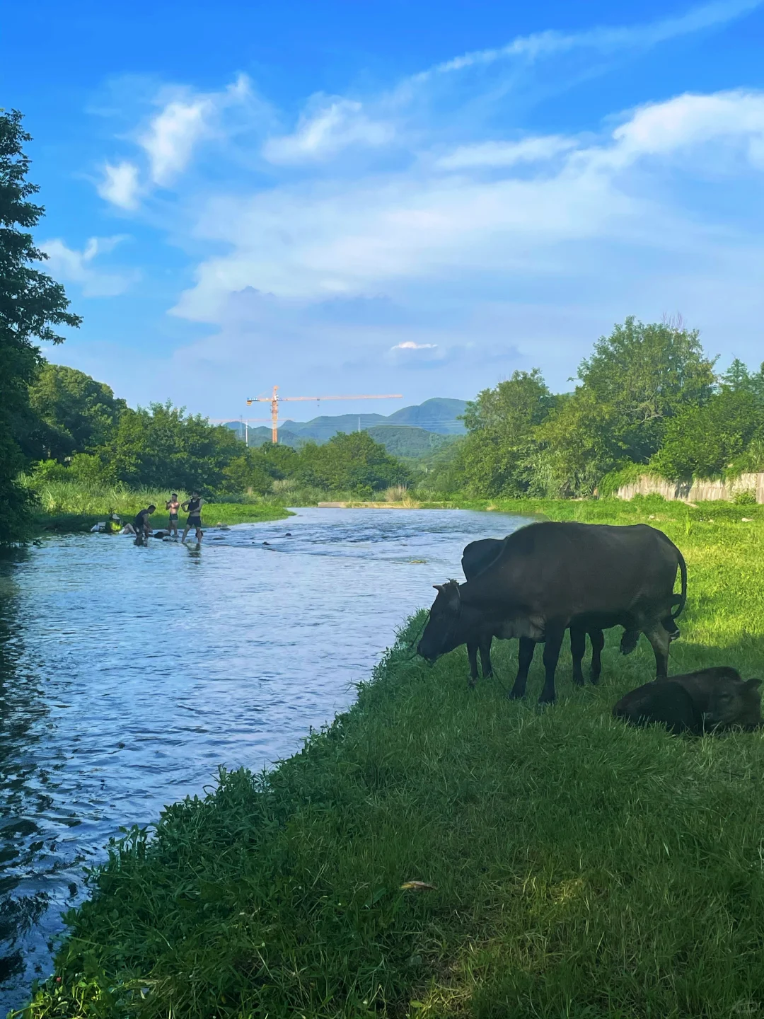 安吉这里好美！！在小红书跟风最成功的一次！！