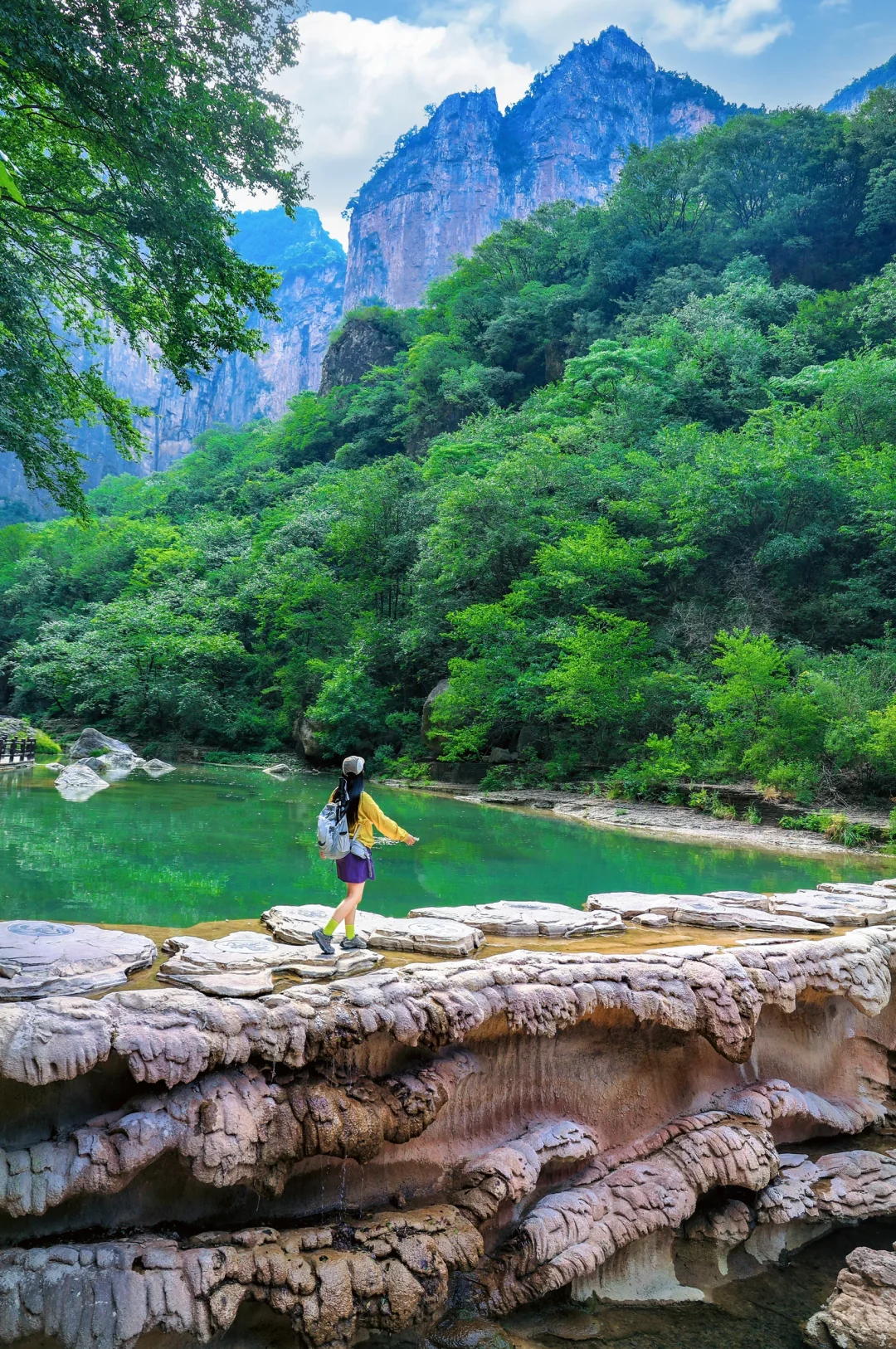 云台山已回😭坚决不删！能劝一个是一个……